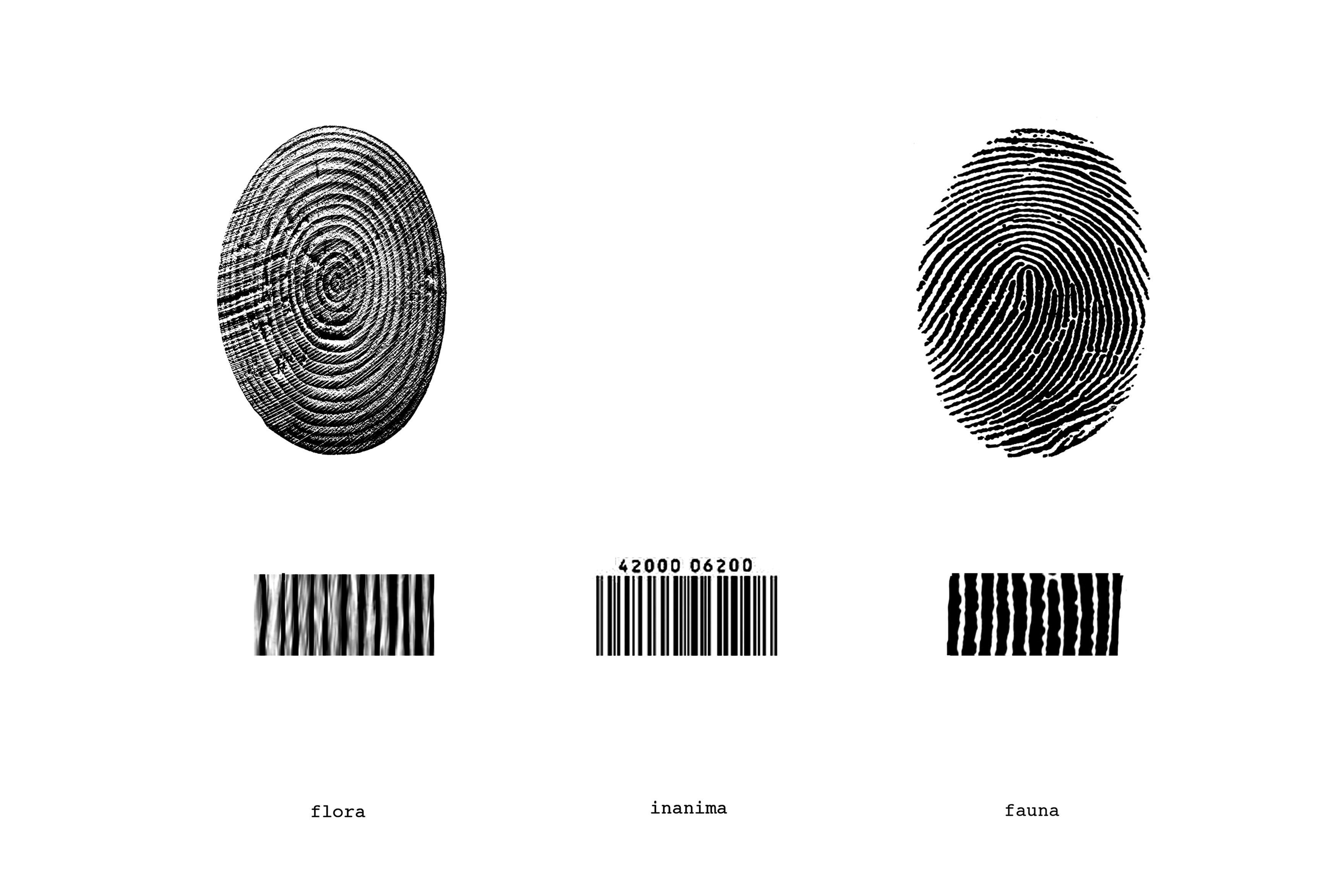 barcode.jpg